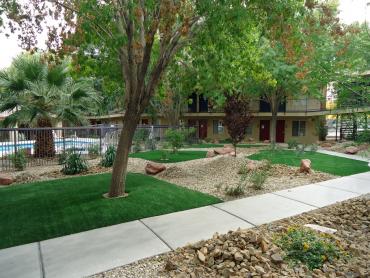 Artificial Grass Photos: Artificial Pet Turf Mojave California Back and Front Yard